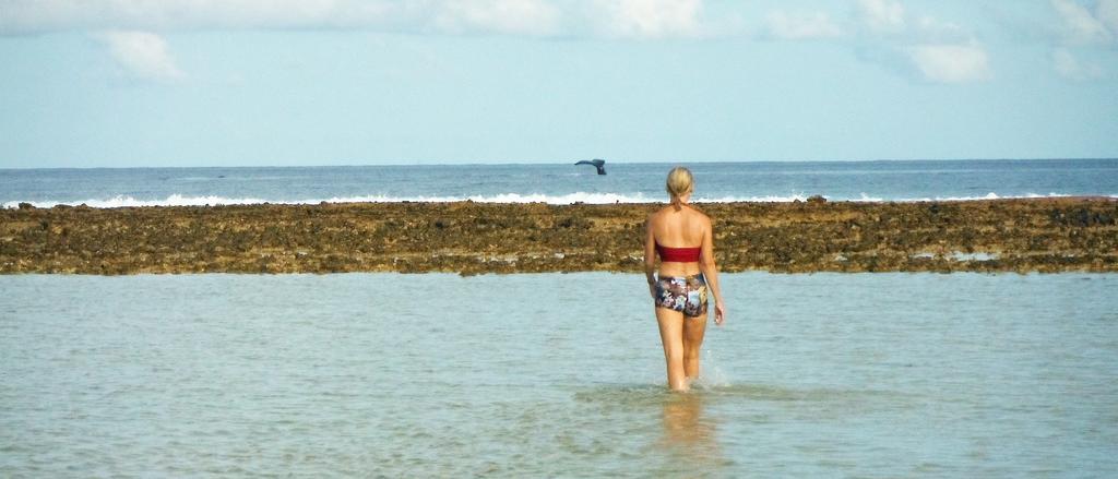 Hakamanu Lodge Tikehau Kültér fotó